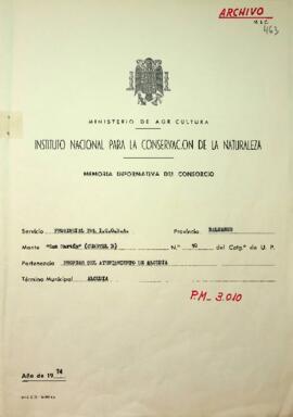 Memoria informativa del consorcio San Martín nº10