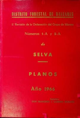 2ª Revisión de la Ordenación del Grupo de Montes Números 1-A y 2-A "Comuna de Caimari" ...