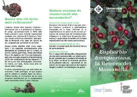 Euphorbia fontqueriana, la lletrera del Massanella