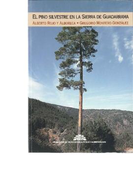 El pino silvestre en la sierra de Guadarrama