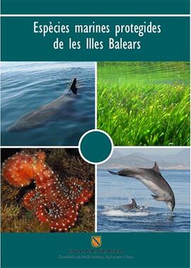 Espècies marines protegides de les Illes Balears
