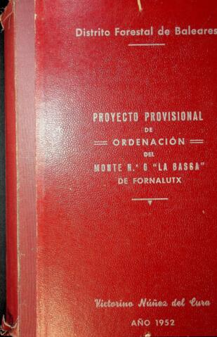 Open original Objecte digital