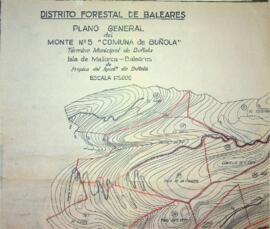 Plano general del monte nº5 "Comuna de Buñola"